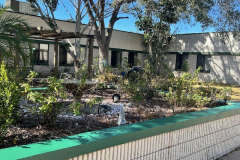 Courtyard-1